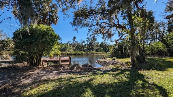 a view of a yard with swimming pool