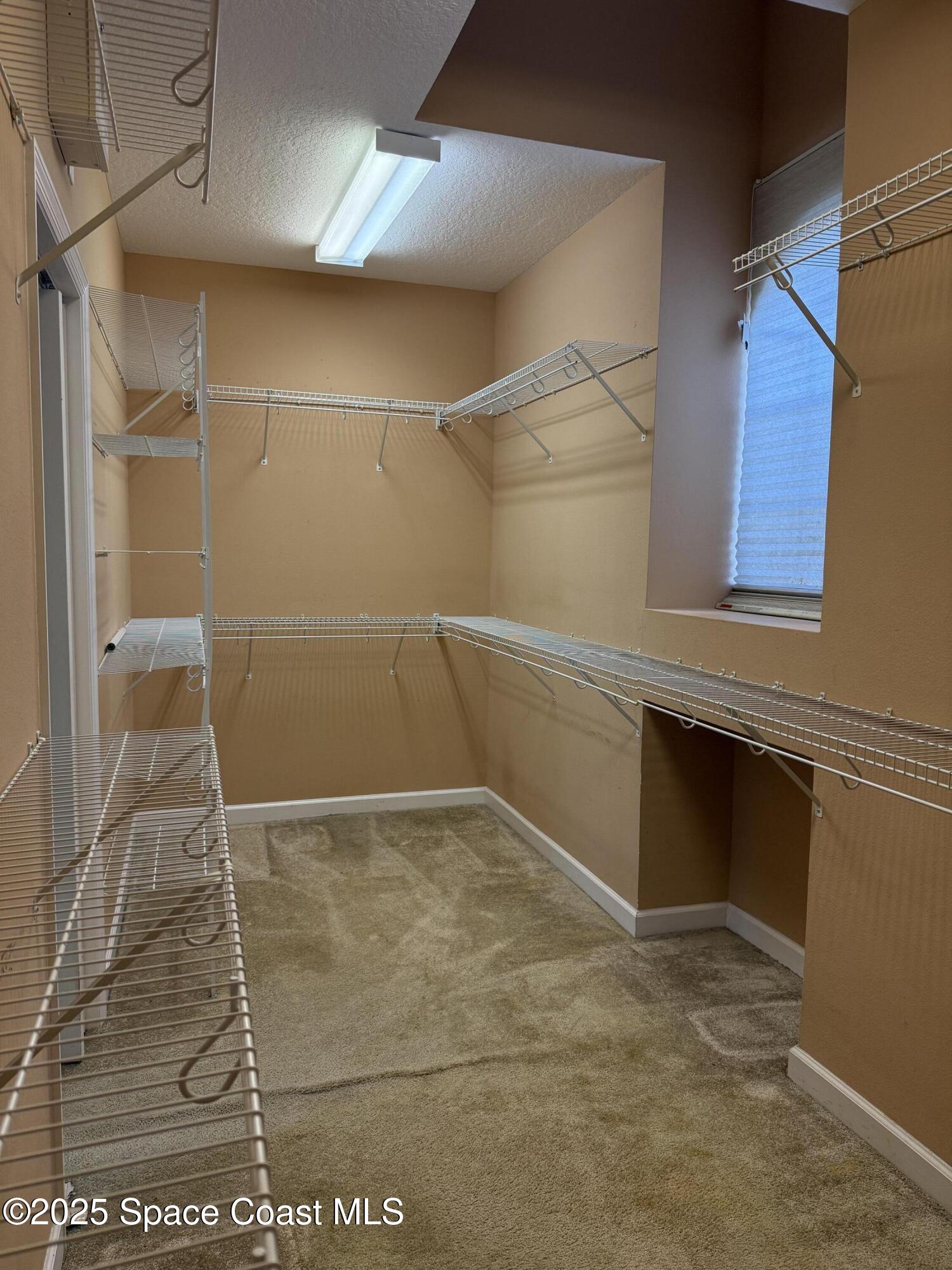 1777 Sienna Drive Melbourne, FL 32934 - Photo 19 of 31 a bathroom with a shower