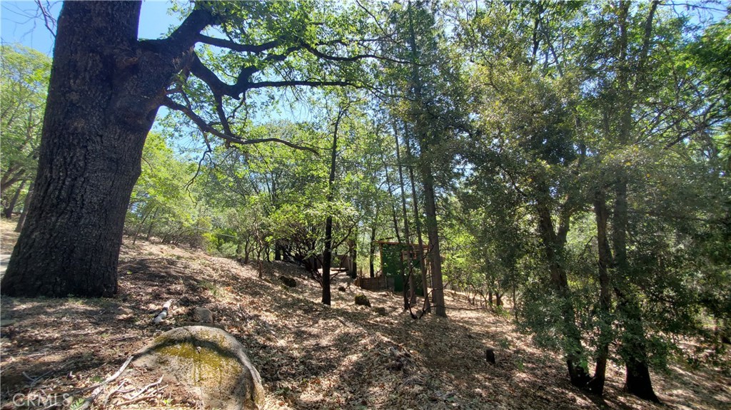 11545 Loch Lomond Road Middletown, CA 95461 - Photo 2 of 5 a view of a yard with plants and trees