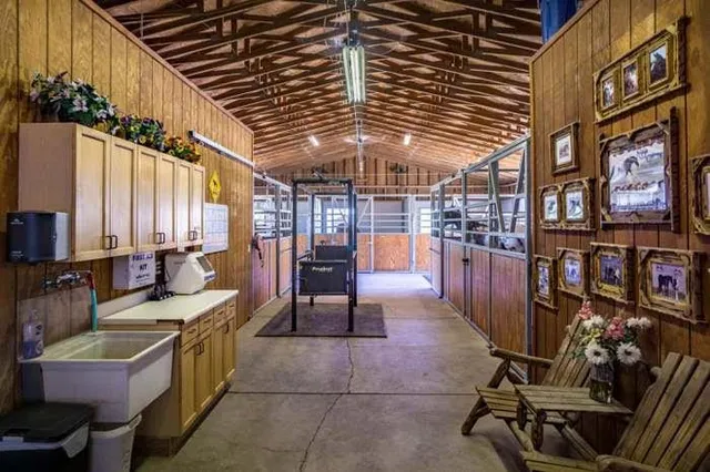 a view of a swimming pool with lawn chairs and plants