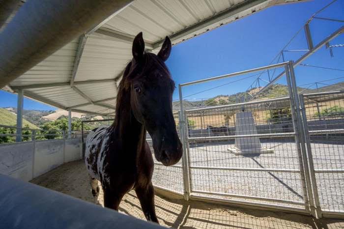 350 San Benancio Road Salinas, CA 93908 - Photo 5 of 68 a view of entryway