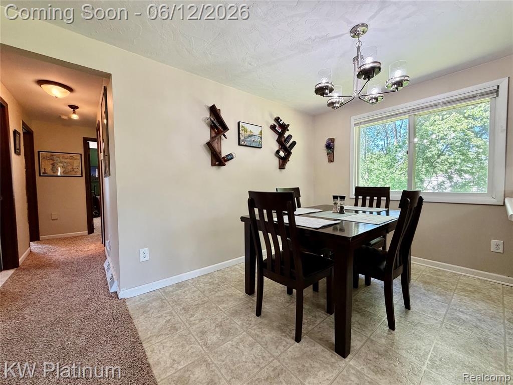 4059 Galbraith Line Road Croswell, MI 48422 - Photo 12 of 37