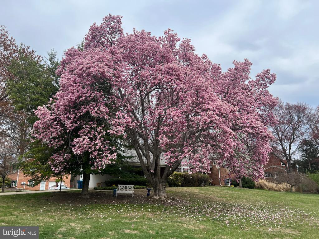 2849 Hideaway Road Fairfax, VA 22031 - Photo 3 of 45 a view of house with swimming pool and trees in the background