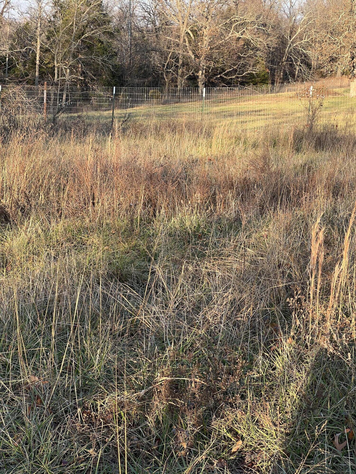 8189 Co Road, Unit O532 Ava, MO 65608 - Photo 1 of 1 IMG_9749