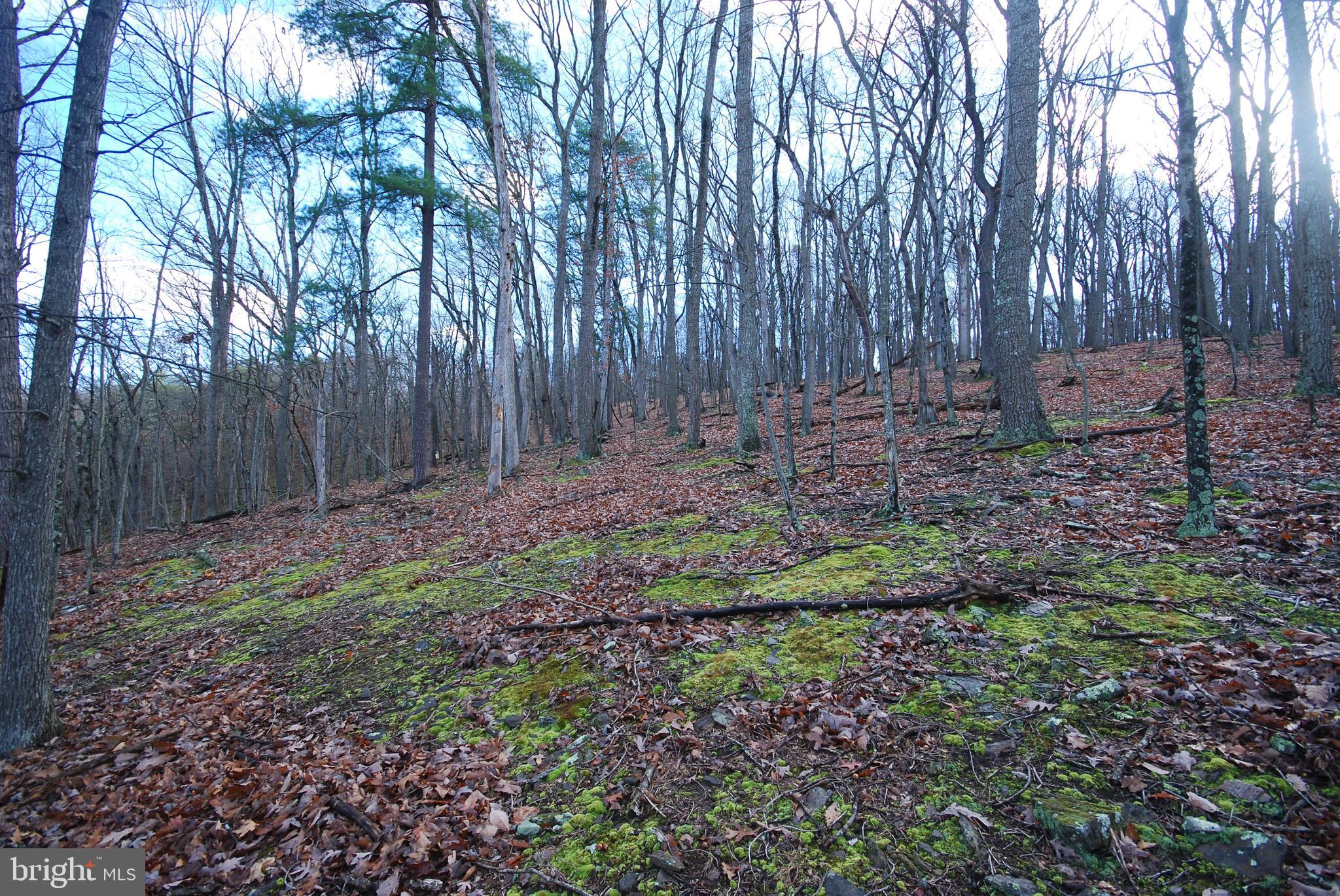 Lot 70-71 Mill Mountain Road Romney, WV 26757 - Photo 21 of 52