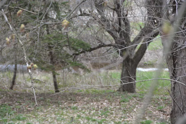 $260,000 | 6610 Berkshire Center Road, Berkshire, VT 05450