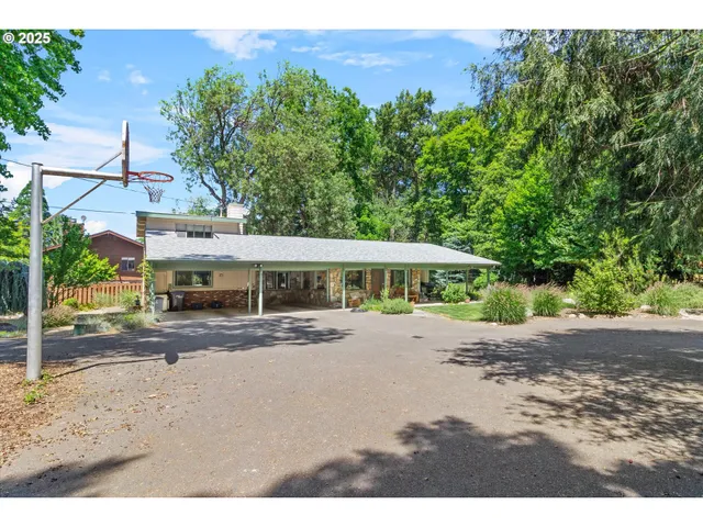 a view of a large space with a large tree and plants