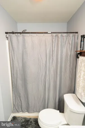 a white toilet sitting next to a shower curtain