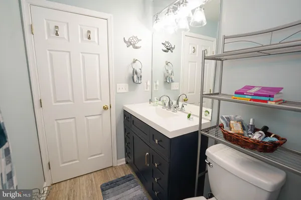 a bathroom with a sink vanity and toilet