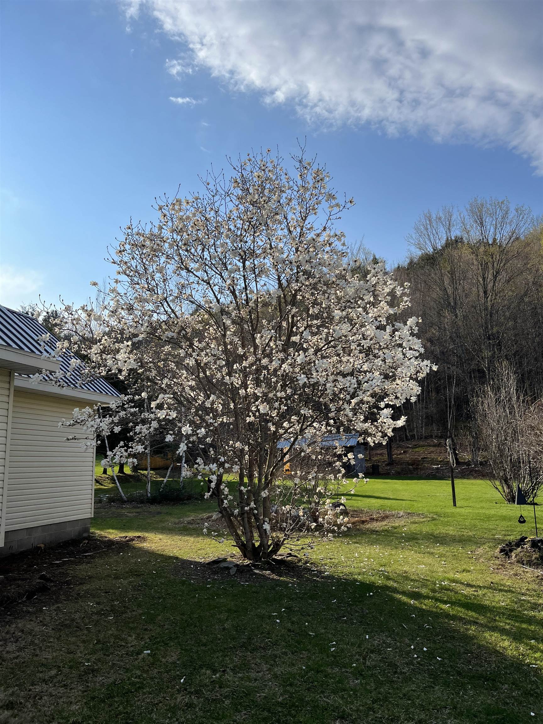 124 Chicoine Road Albany, VT 05820 - Photo 31 of 37