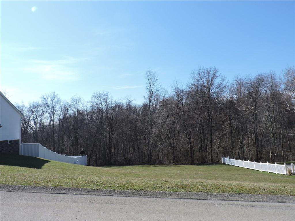 507 Equestrian Way Mount Pleasant, PA 15666 - Photo 3 of 10 a view of a yard