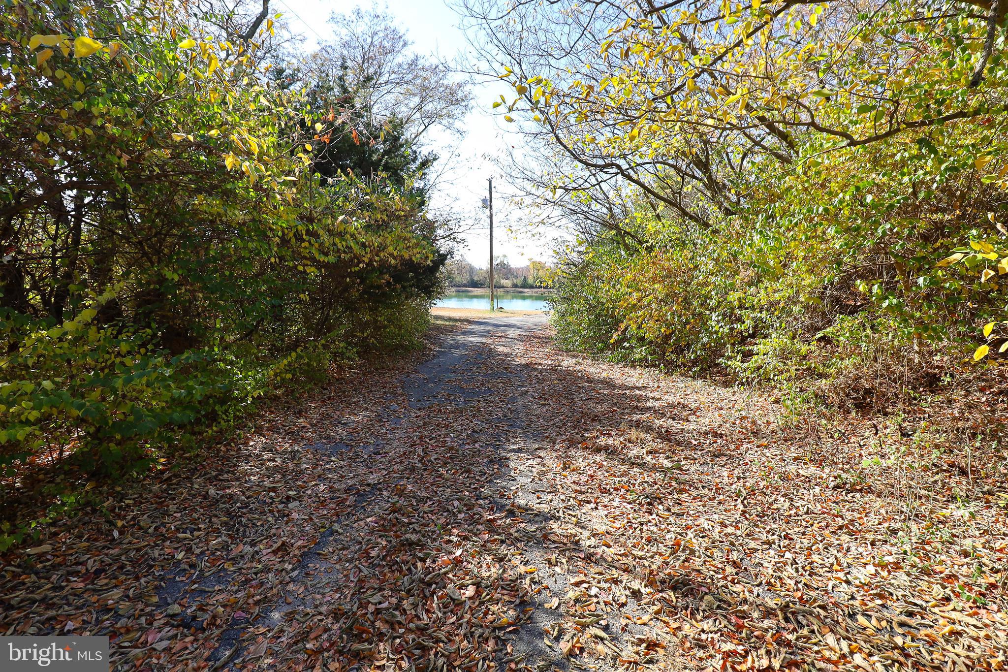 L26 Dubois Road Salem, NJ 08079 - Photo 14 of 49 a view of a yard with plants and trees