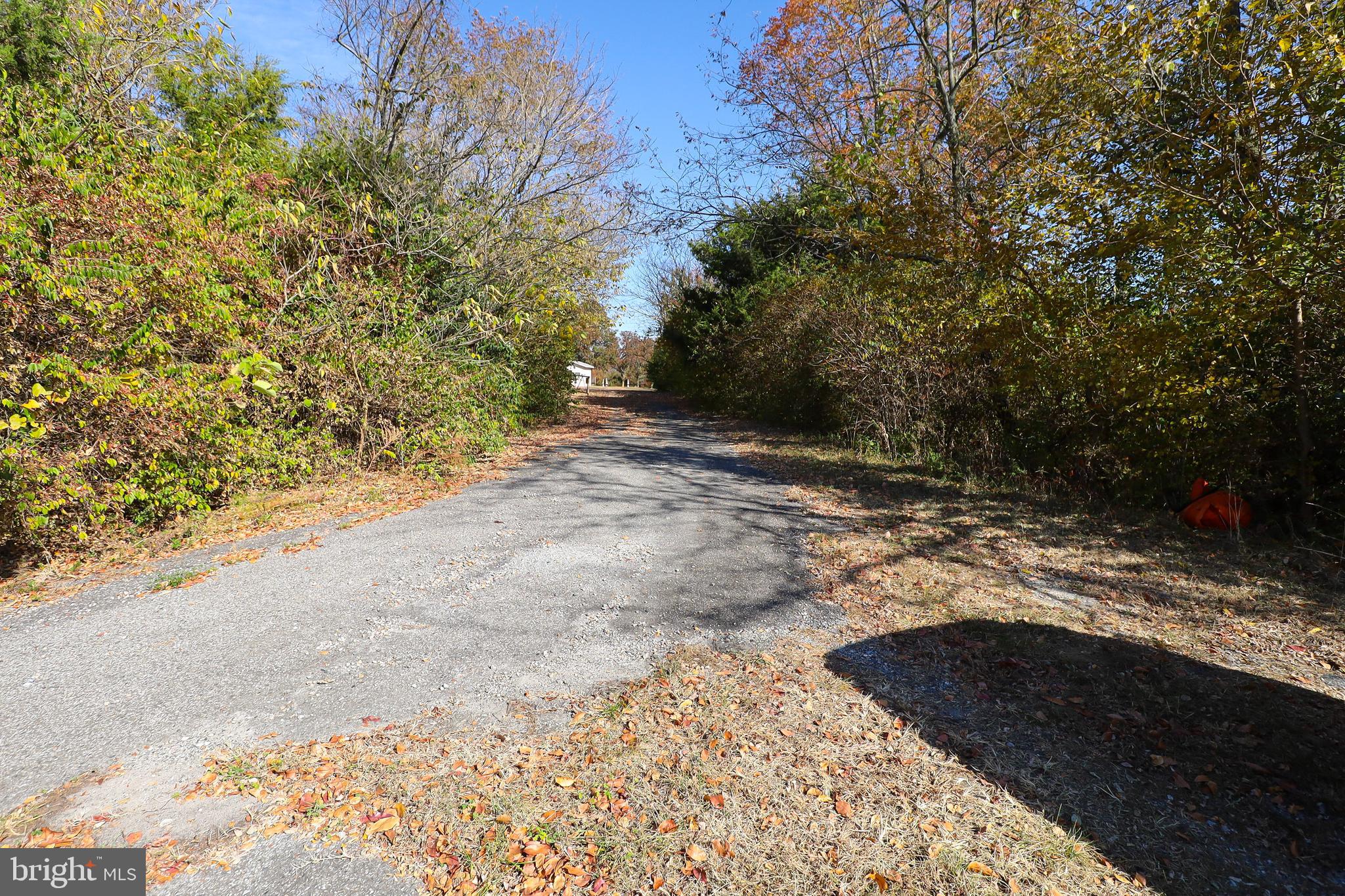 L26 Dubois Road Salem, NJ 08079 - Photo 20 of 49 a view of a yard with plants and trees