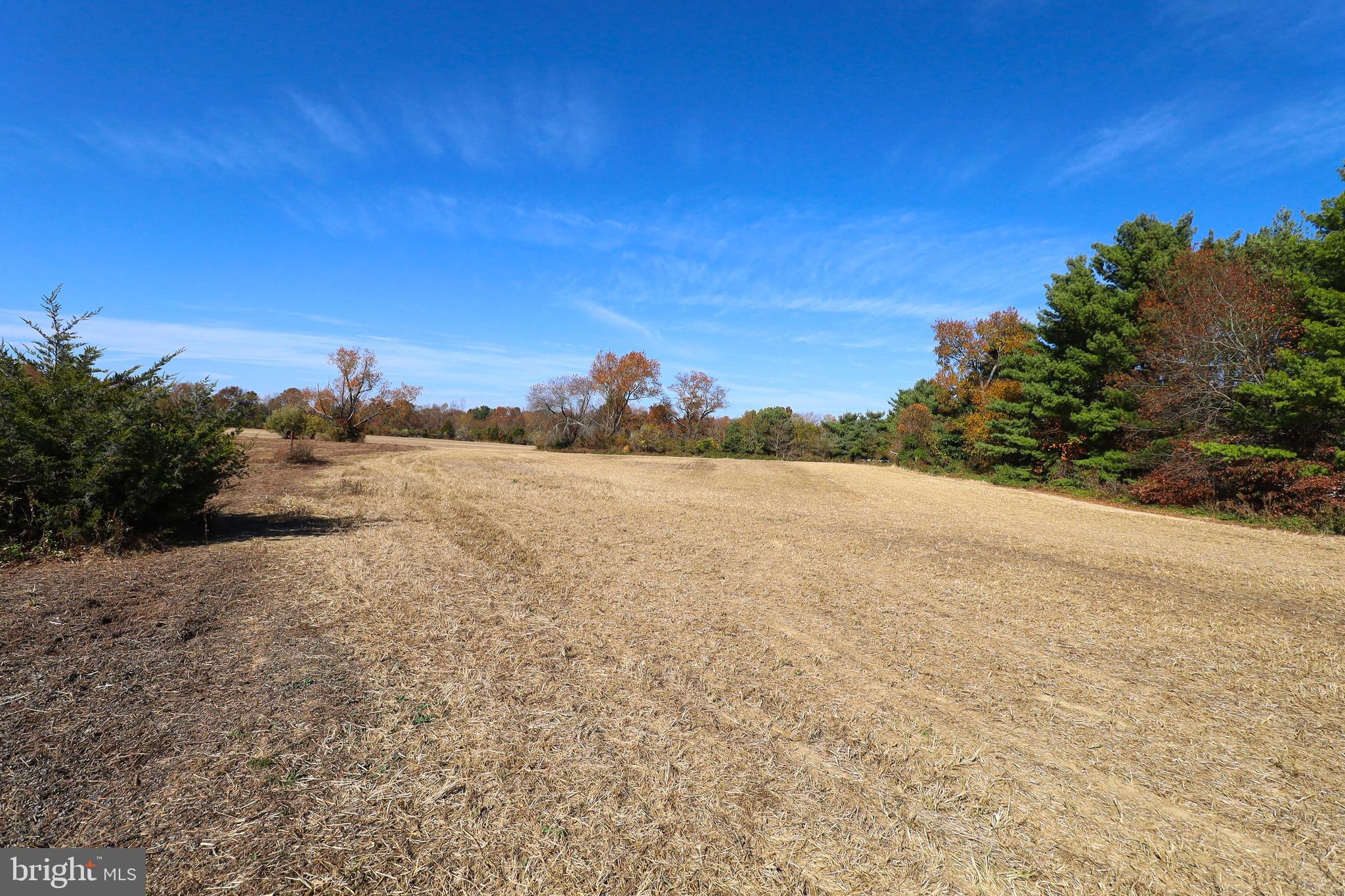 L26 Dubois Road Salem, NJ 08079 - Photo 24 of 49 a view of lake and mountain