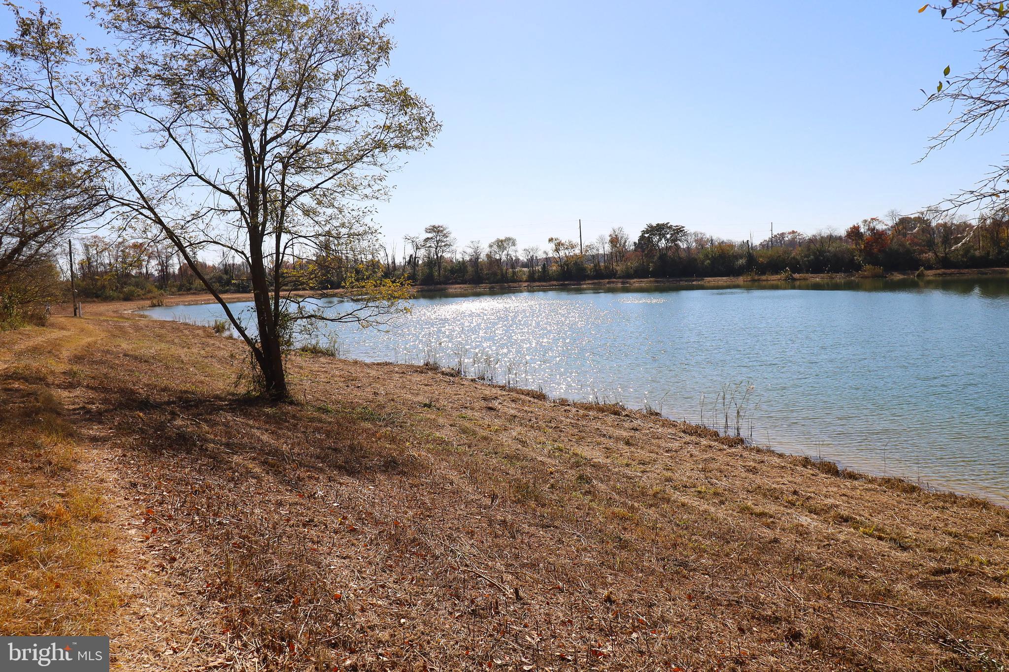 L26 Dubois Road Salem, NJ 08079 - Photo 27 of 49 a view of lake