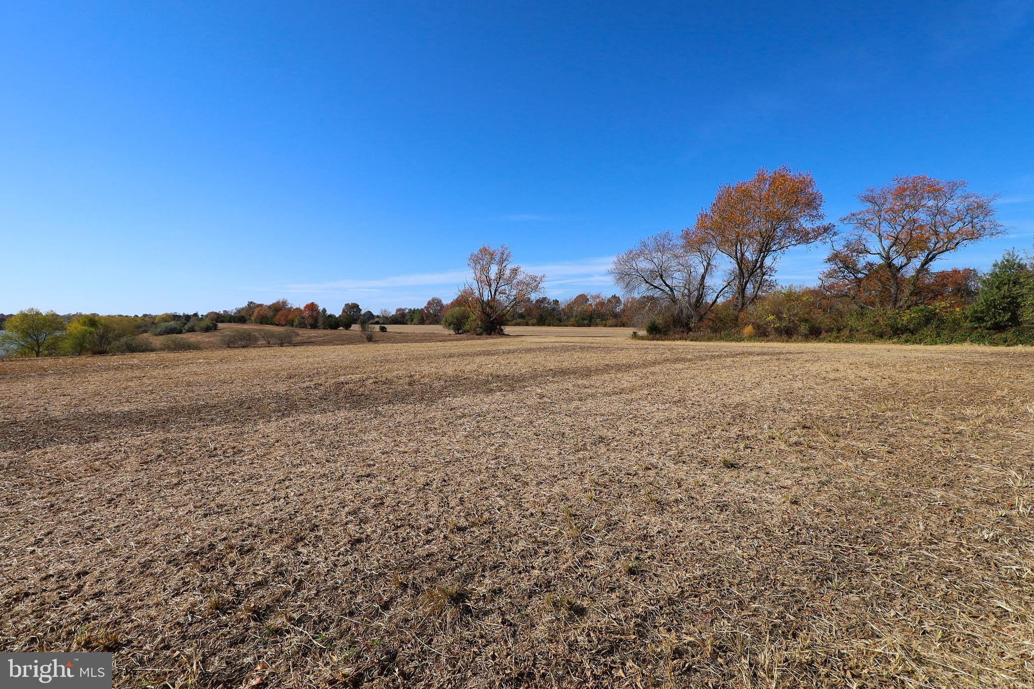L26 Dubois Road Salem, NJ 08079 - Photo 28 of 49 a view of a lake with sunset in background