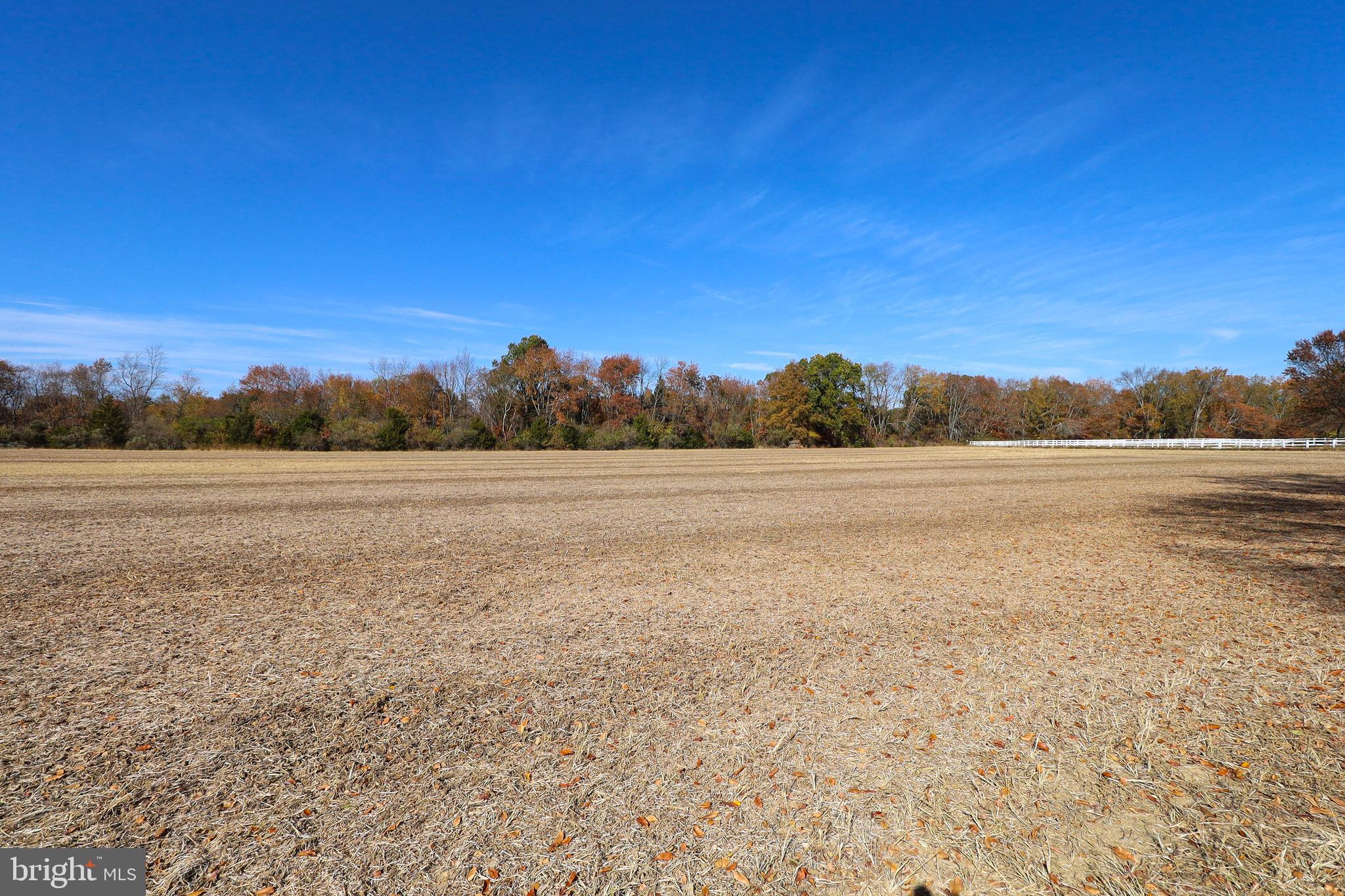 L26 Dubois Road Salem, NJ 08079 - Photo 30 of 49 a view of a field with trees in the background