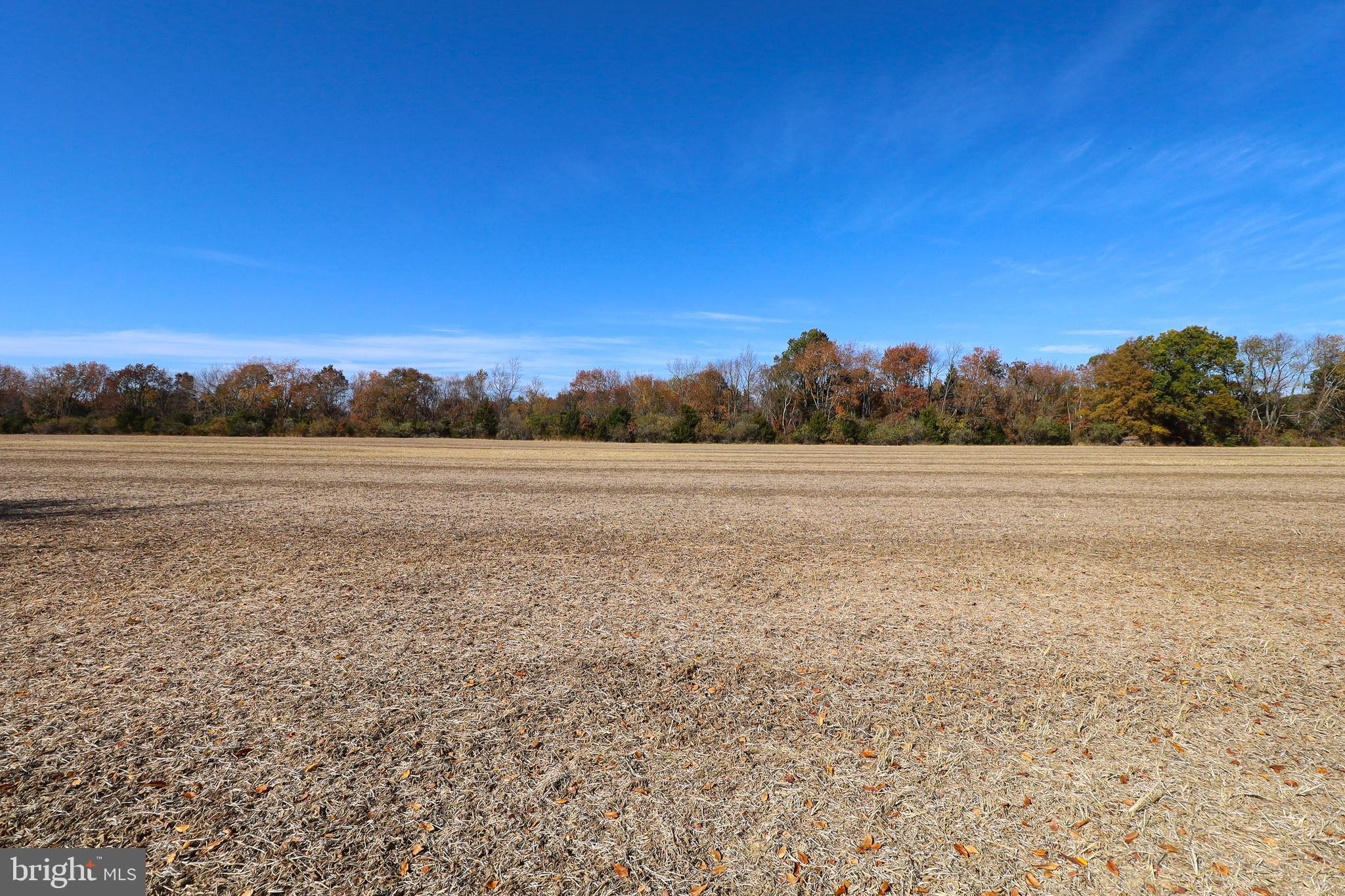L26 Dubois Road Salem, NJ 08079 - Photo 31 of 49 a view of a field with trees in background