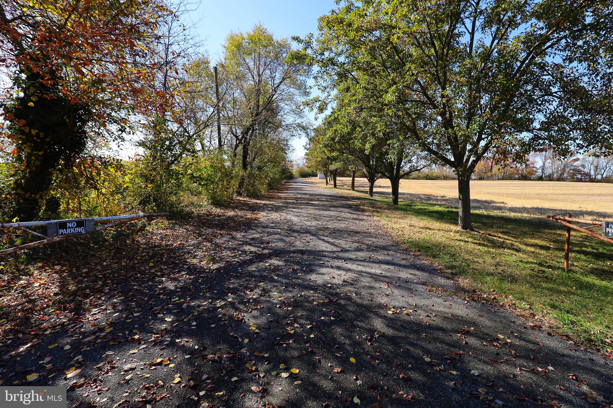 L26 Dubois Road Salem, NJ 08079 - Photo 9 of 49 a big yard with lots of green space and trees