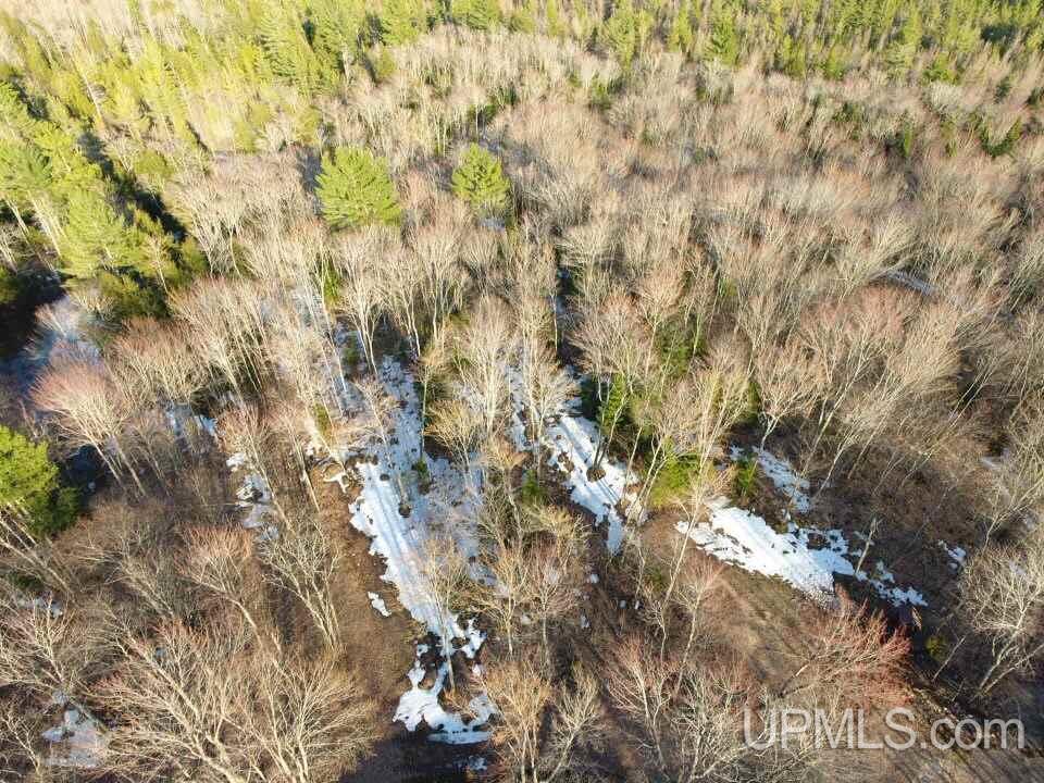 9936 N South Ross Lake Road Shingleton, MI 49884 - Photo 6 of 50
