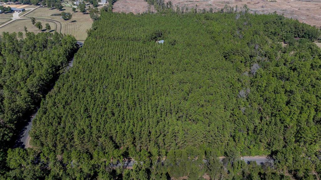 635 Jay Miller Road Dry Creek, LA 70637 - Photo 10 of 10