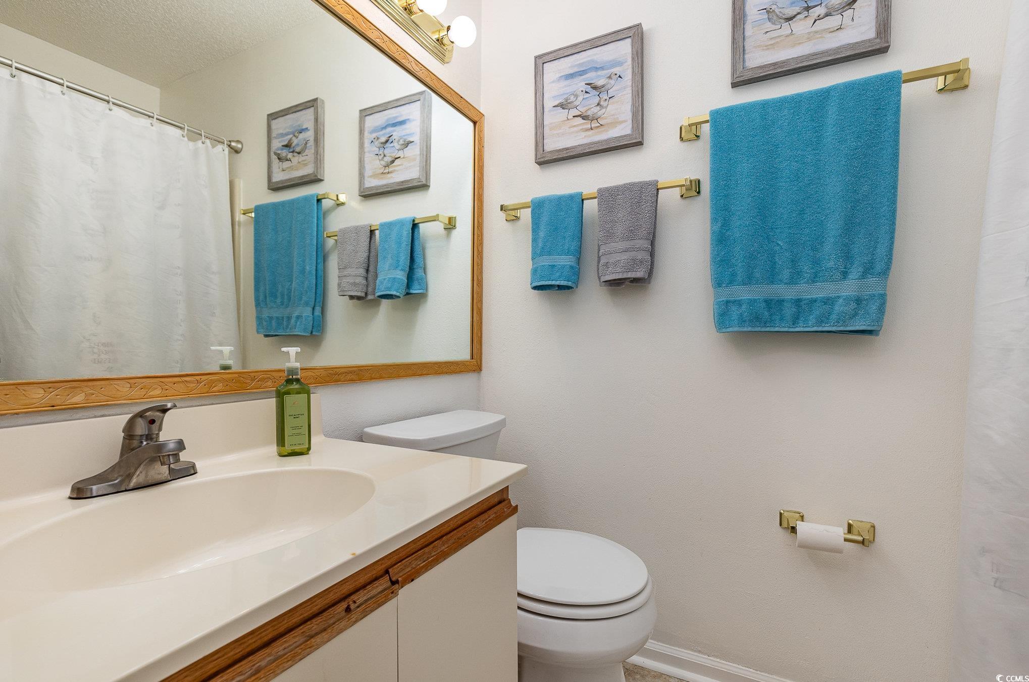 1101 Possum Trot Road, Unit B203 North Myrtle Beach, SC 29582 - Photo 24 of 37 Bathroom featuring vanity, toilet, and a textured