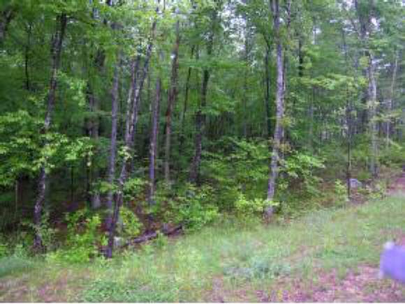 17 Calef Island Road Barrington, NH 03825 - Photo 1 of 1