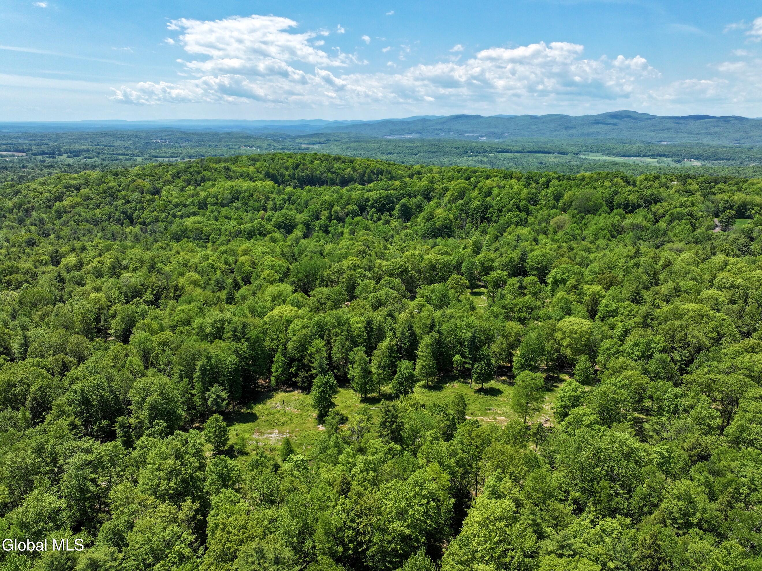 1710 Truthville Road Whitehall, NY 12887 - Photo 10 of 59 DJI_20260526132341_0162_D-2 (Copy)
