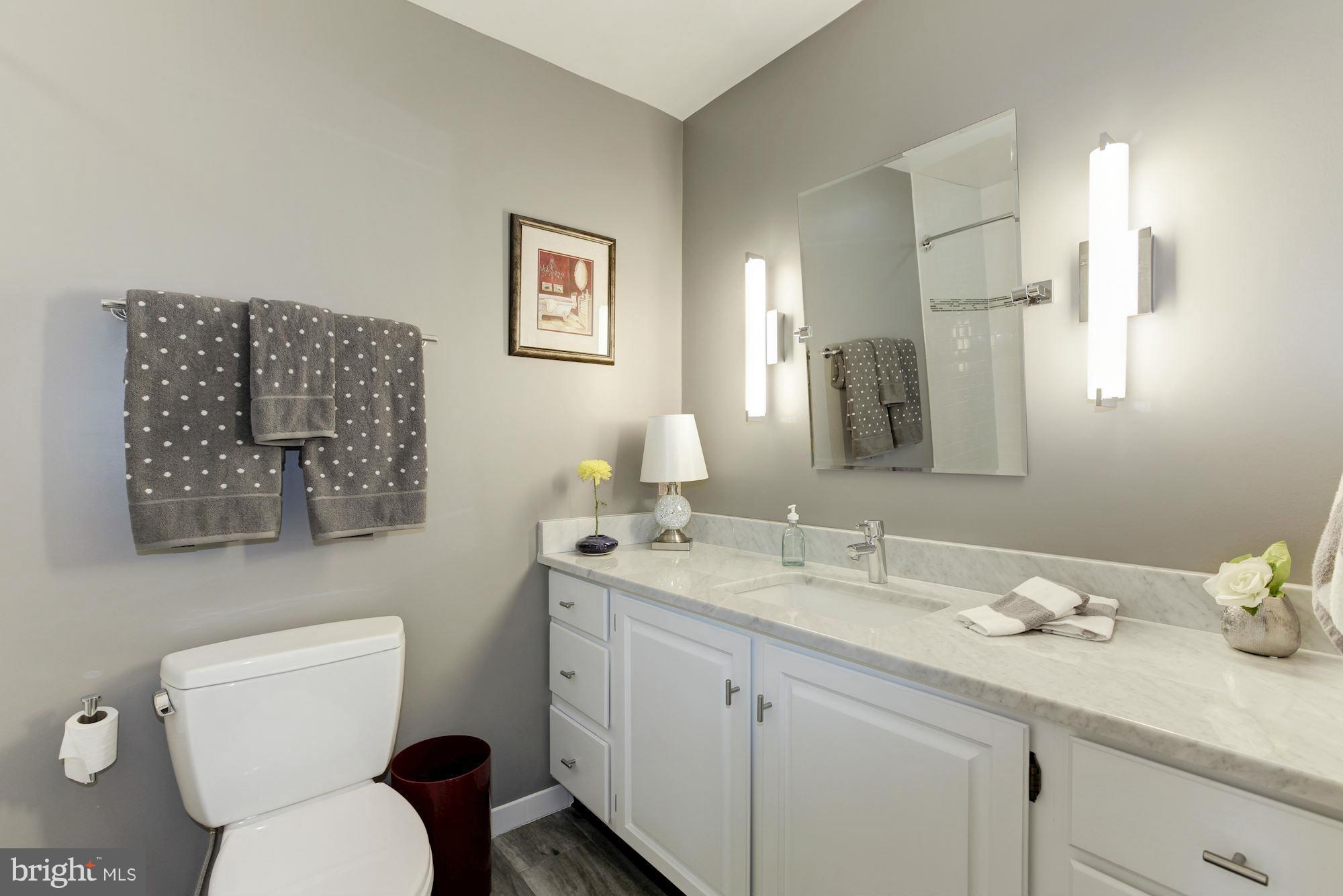 2939 Birchtree Lane Silver Spring, MD 20906 - Photo 14 of 25 Bath (Master)