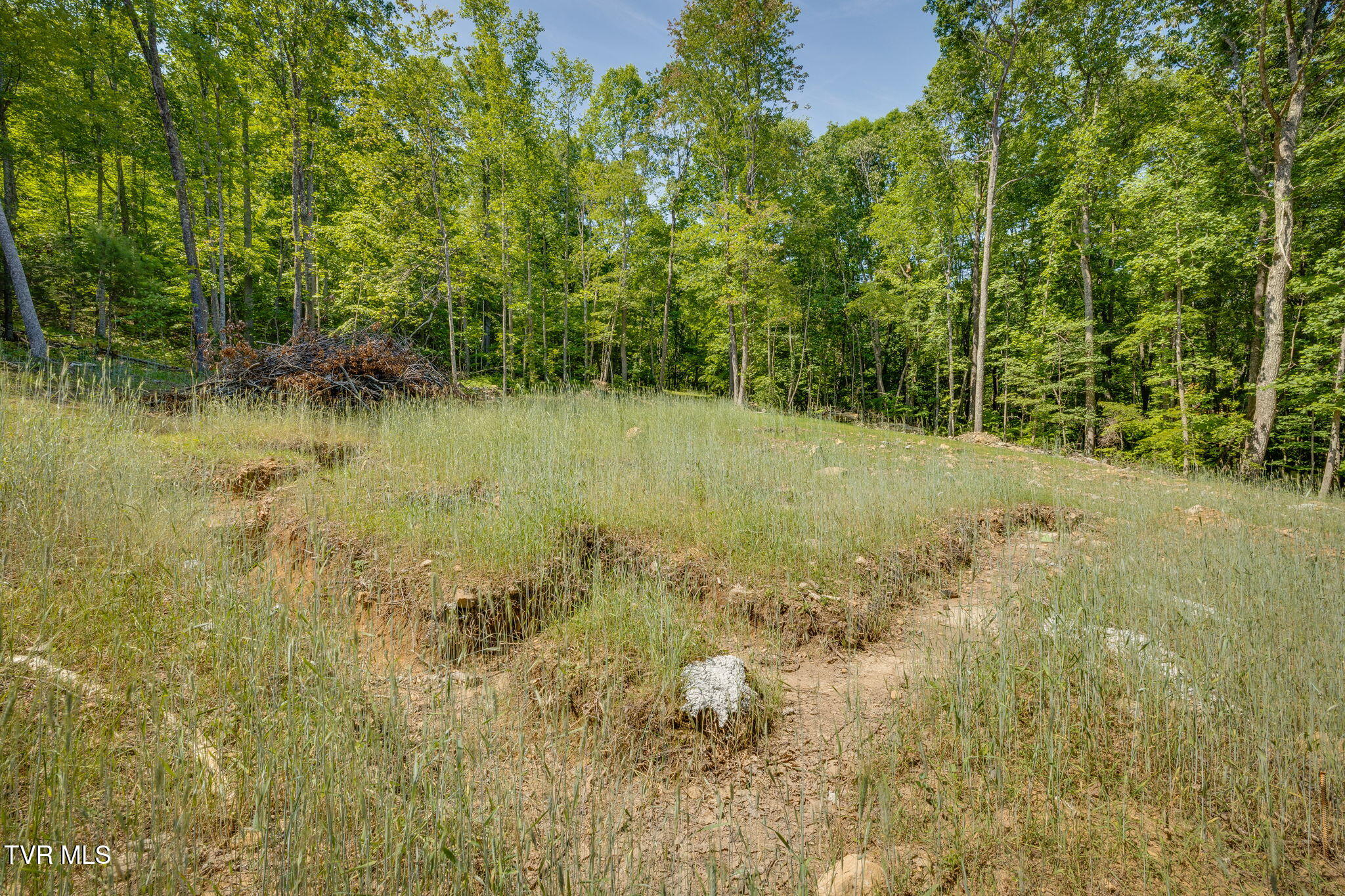 110 Forest Drive, Unit 15 Butler, TN 37640 - Photo 23 of 38 F13B9B5A-71B5-4099-8364-C6B8E299EE97