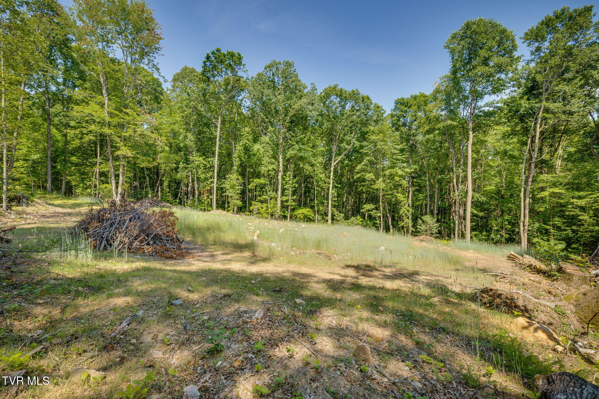 110 Forest Drive, Unit 15 Butler, TN 37640 - Photo 25 of 38 C2843A92-4558-4578-BE95-8398ABFBBE4D