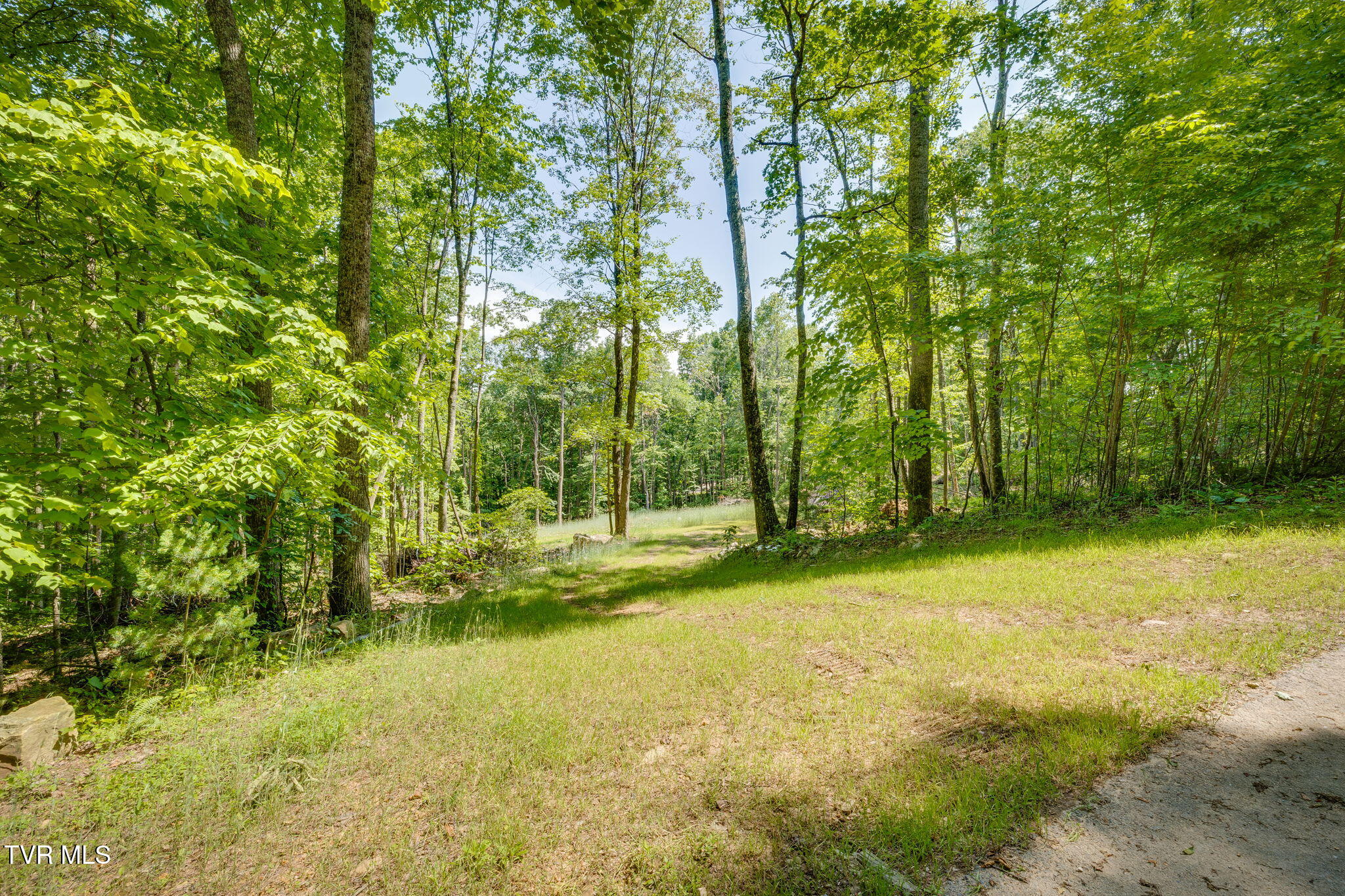 110 Forest Drive, Unit 15 Butler, TN 37640 - Photo 26 of 38 EC50D5E2-5372-4EBB-849F-E92508AD5949
