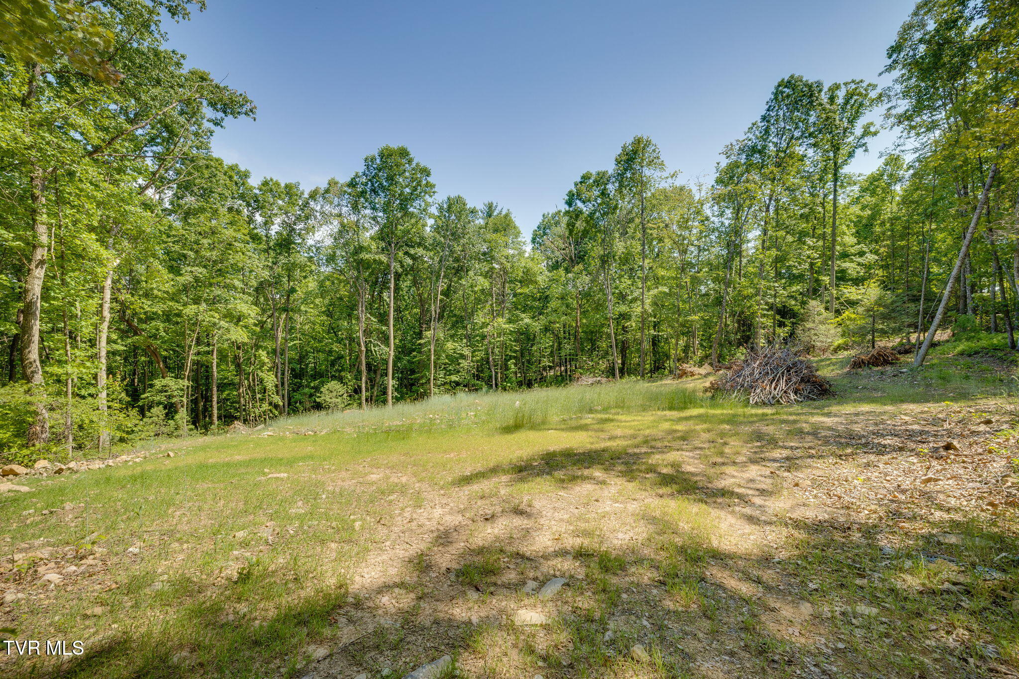 110 Forest Drive, Unit 15 Butler, TN 37640 - Photo 27 of 38 1448C381-CA8B-48F6-B7B3-EF5FE96472E9