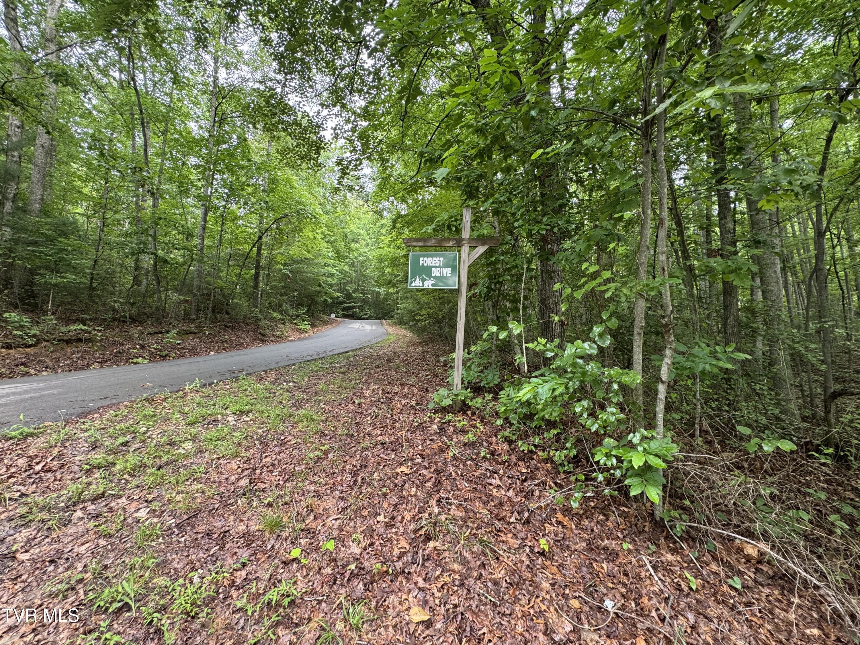 110 Forest Drive, Unit 15 Butler, TN 37640 - Photo 8 of 38 IMG_9242