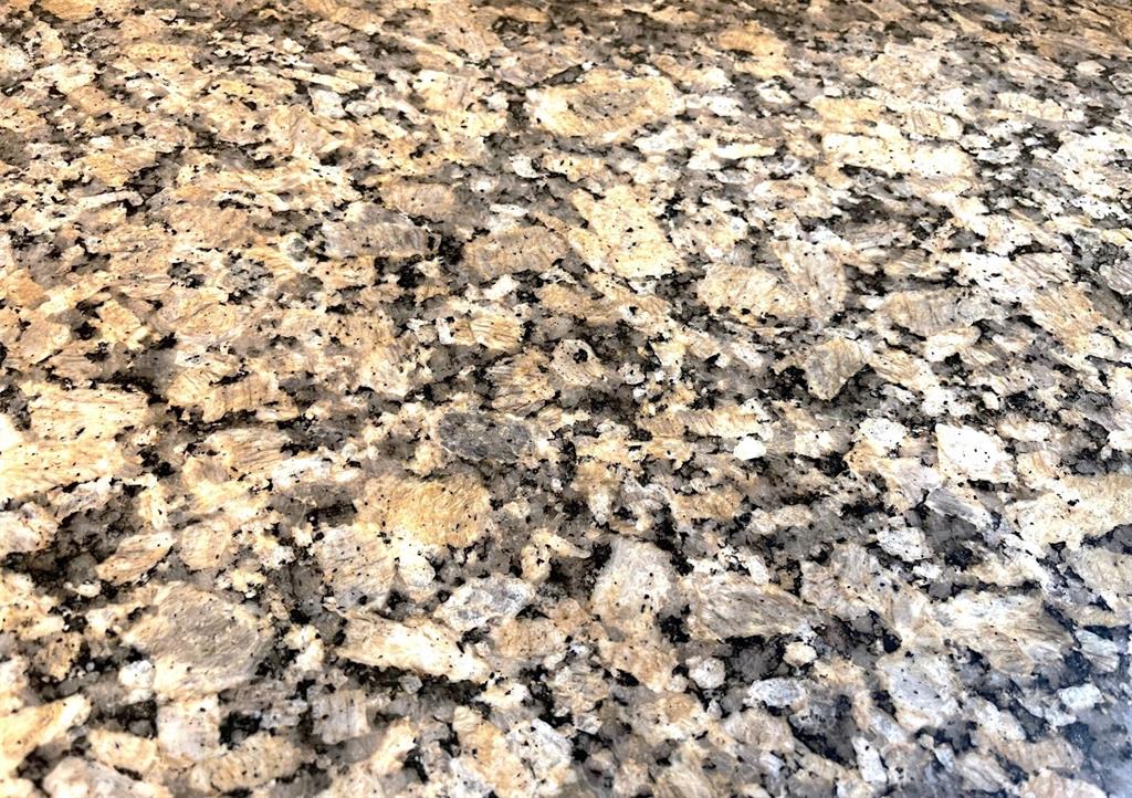 10710 Southwest 49th Avenue Ocala, FL 34476 - Photo 13 of 48 a view of a yard