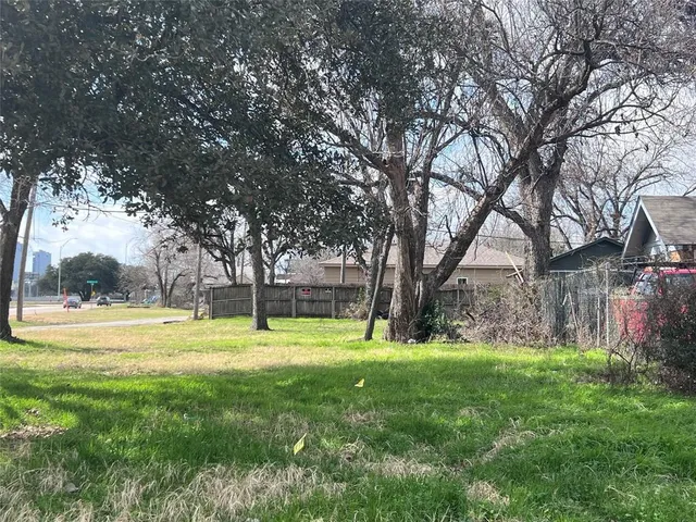 a big yard with palm trees