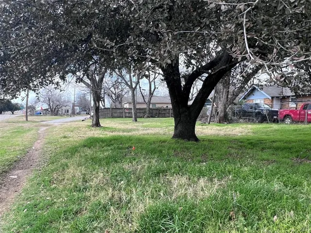 a view of yard with tree and green space