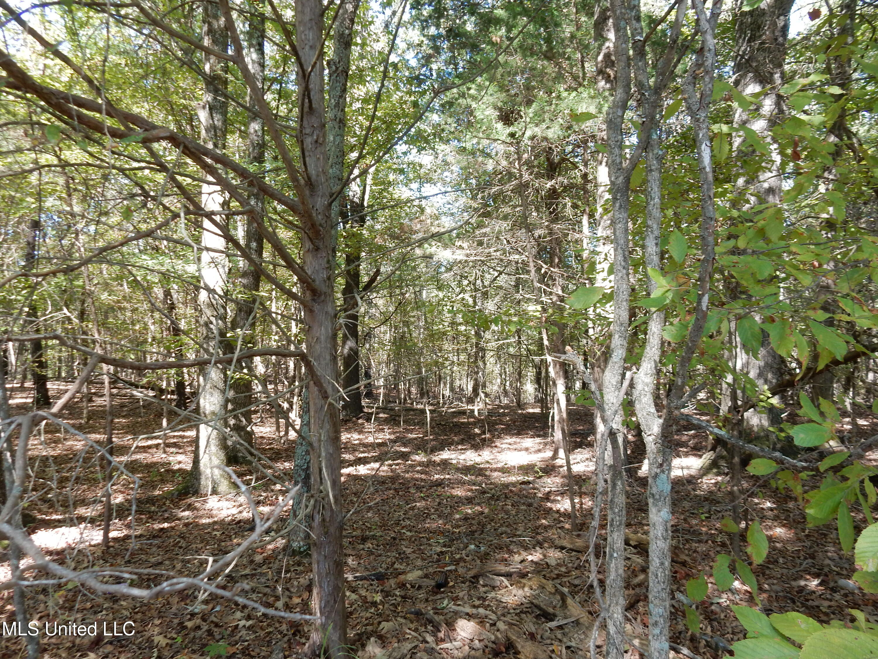 Lot 2 North Crockett Road Senatobia, MS 38668 - Photo 2 of 3 DSCN3188