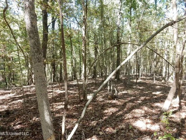 $79,500 | Lot 2 North Crockett Road, Senatobia, MS 38668