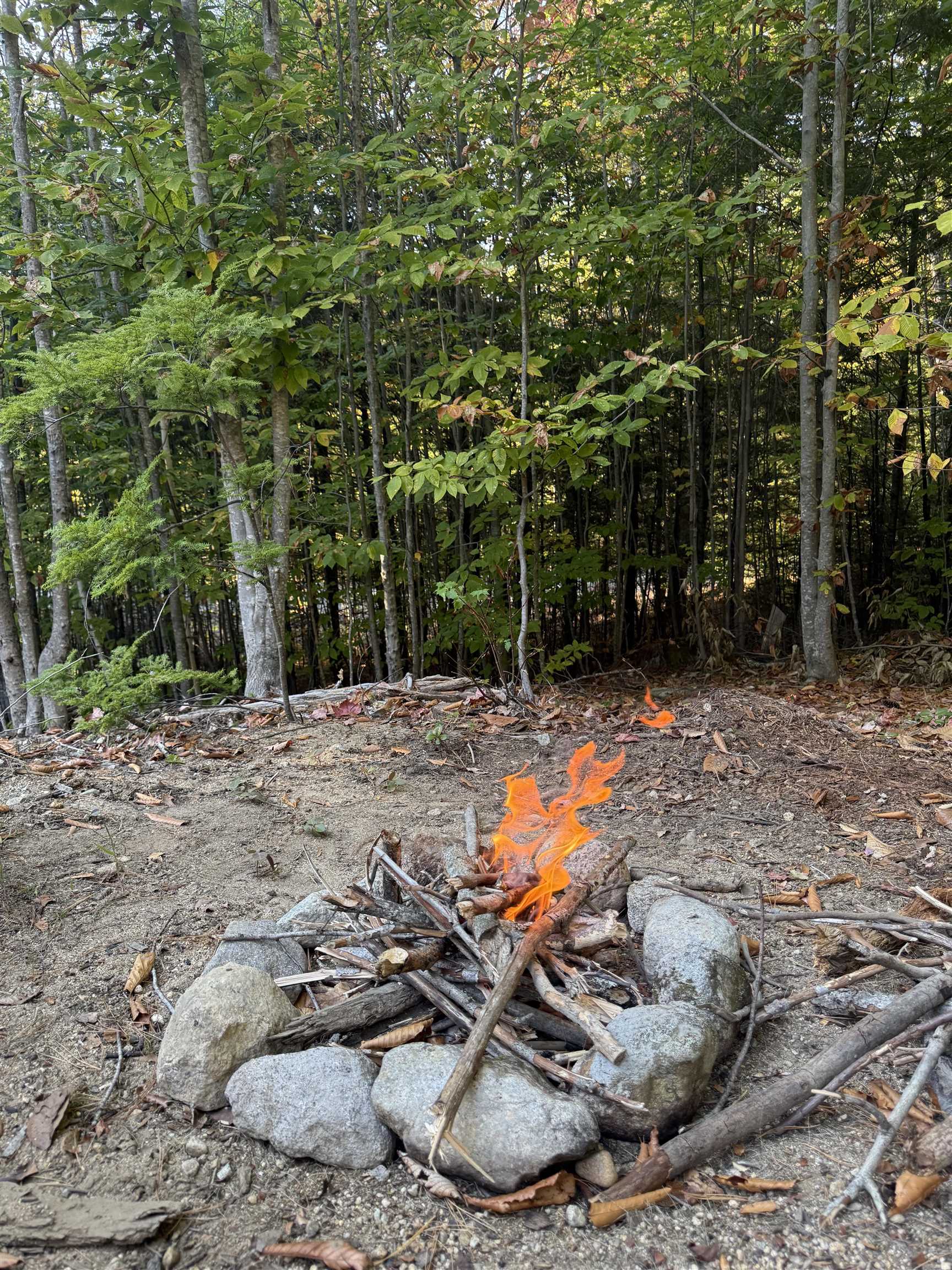 15 Acadia Way Conway, NH 03818 - Photo 34 of 36