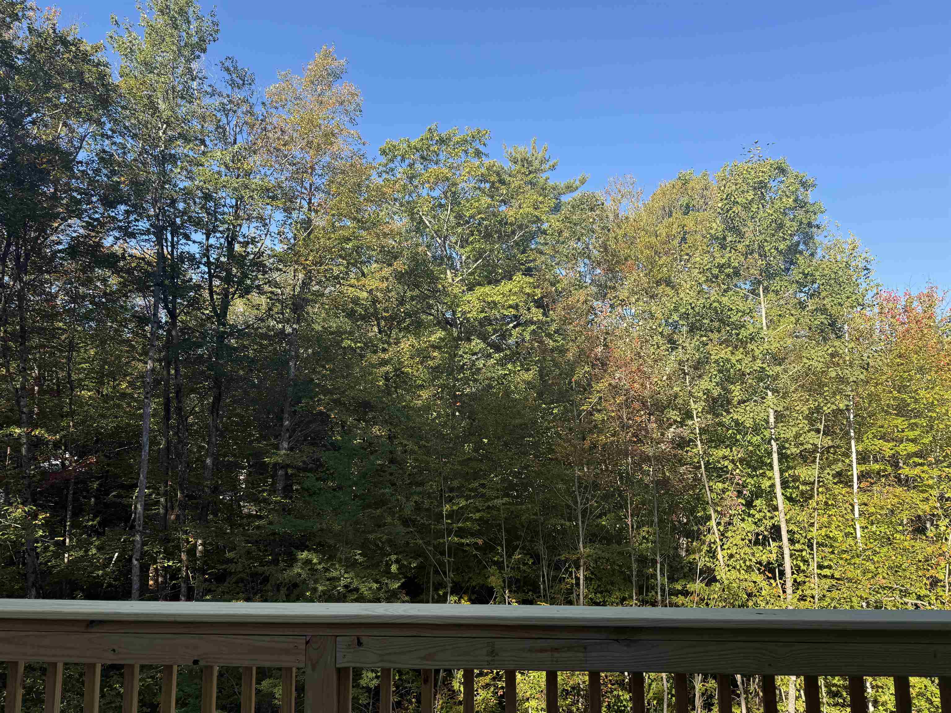 15 Acadia Way Conway, NH 03818 - Photo 10 of 36