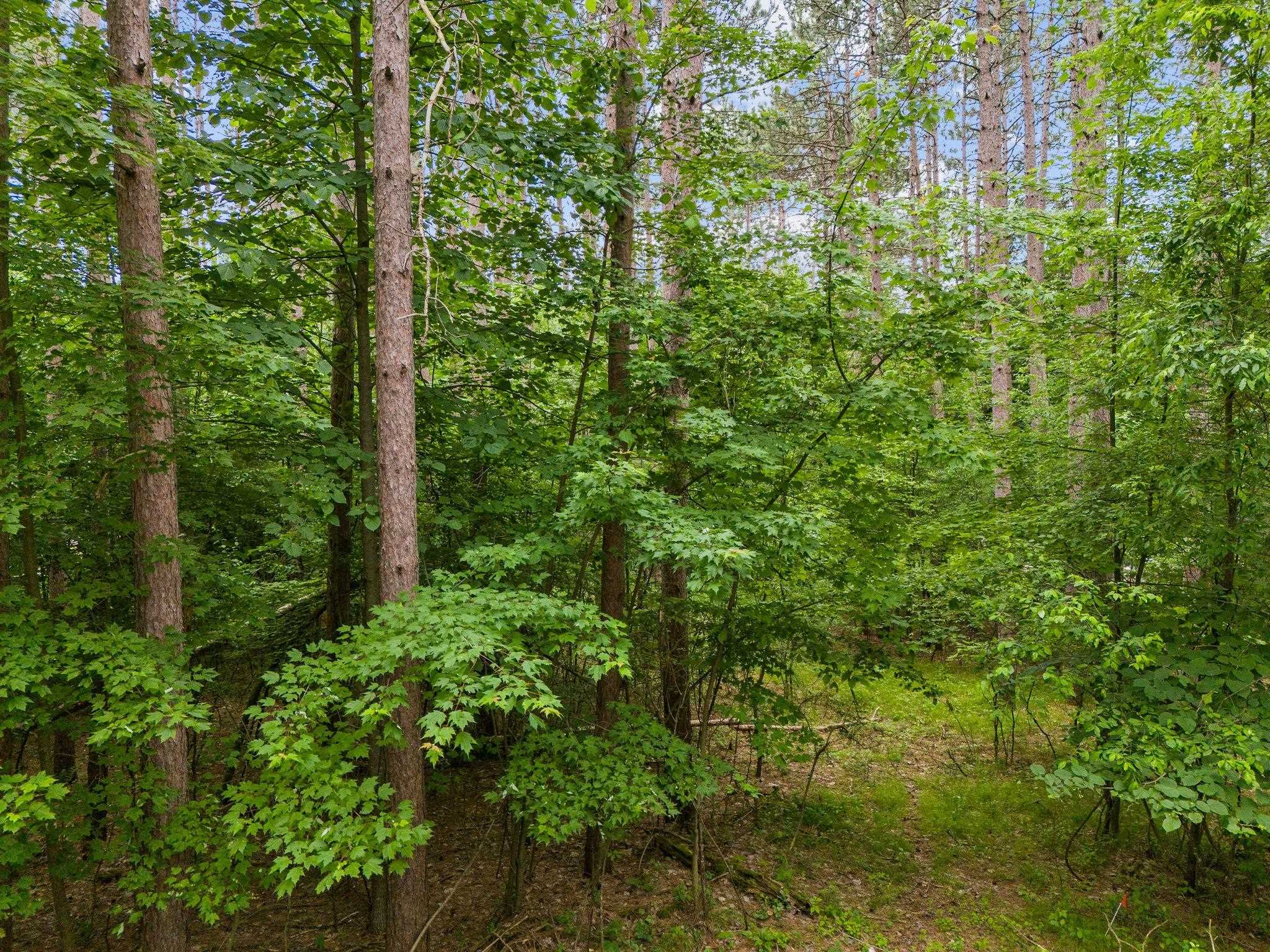 Covered Bridge Road, Unit 38 Waupaca, WI 54981 - Photo 10 of 10