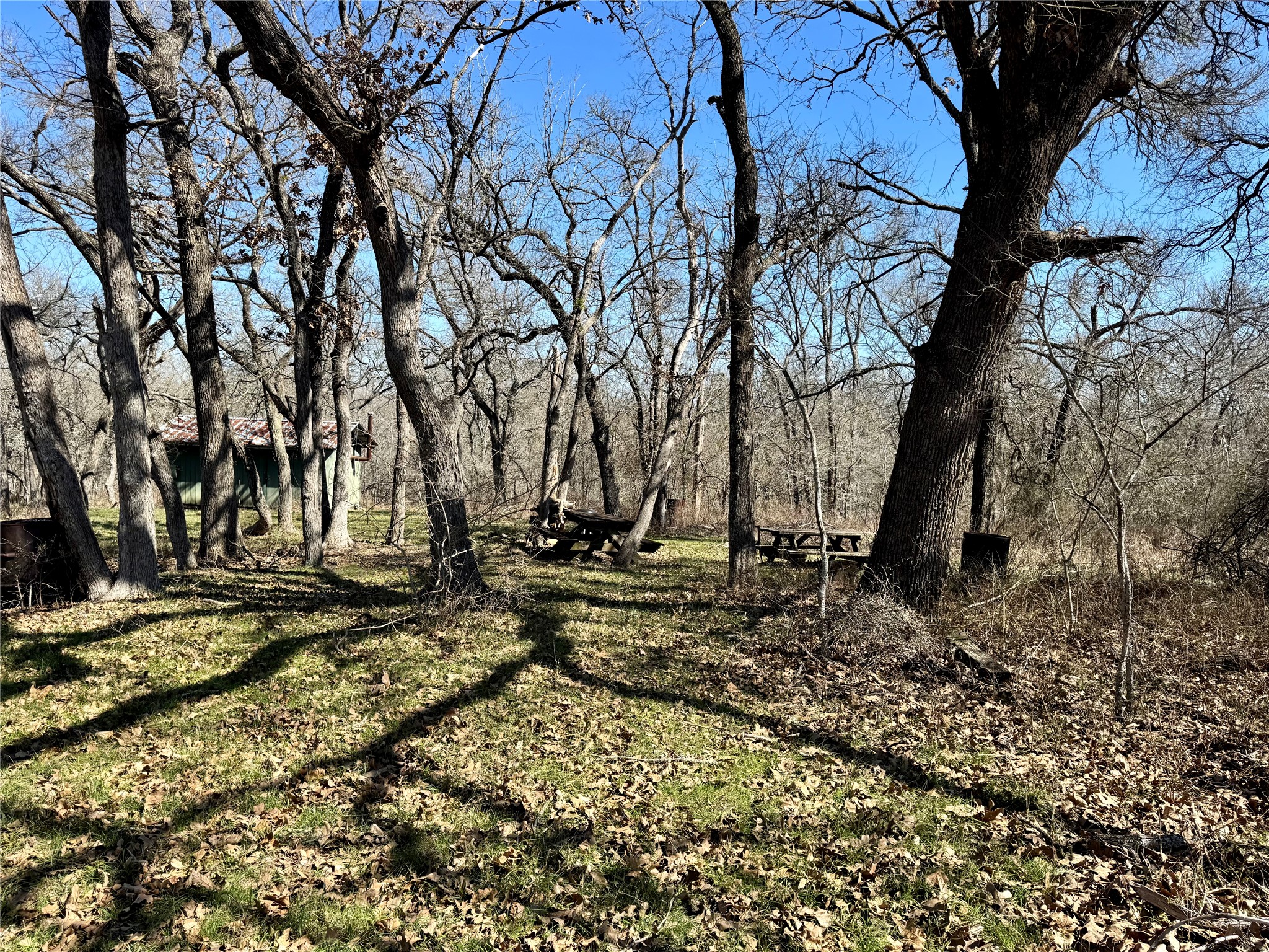 0 County Road 418A Road Bartlett, TX 76511 - Photo 6 of 19 a view of a backyard with large trees