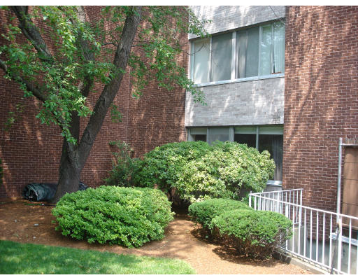 22 Chestnut Place Brookline, MA 02445 - Photo 4 of 14 Gallery Image 4