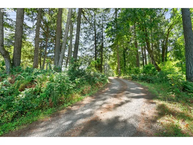 a view of a yard with a tree