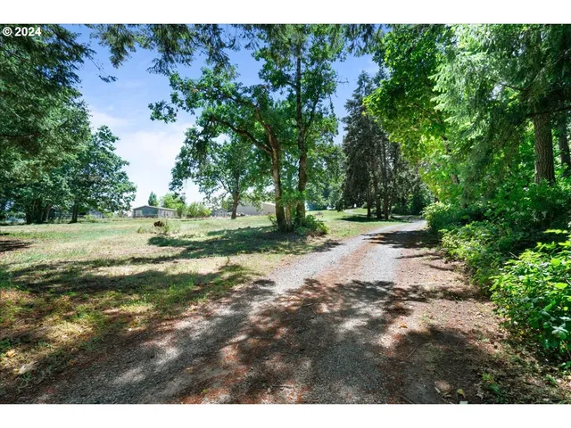 a view of a green field with trees