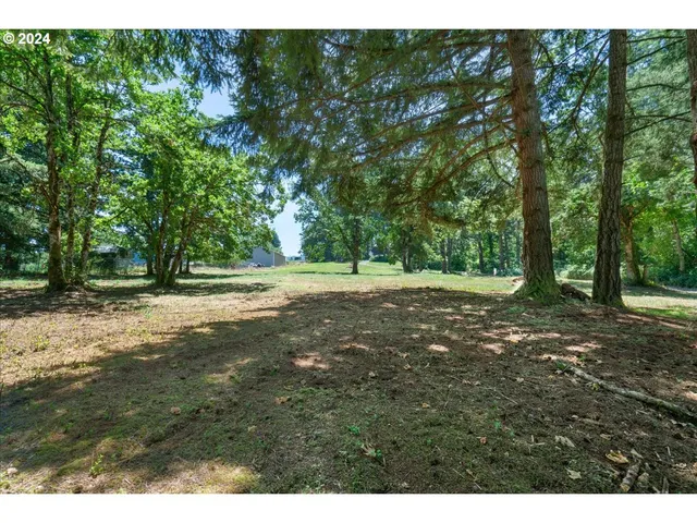 a view of backyard with green space