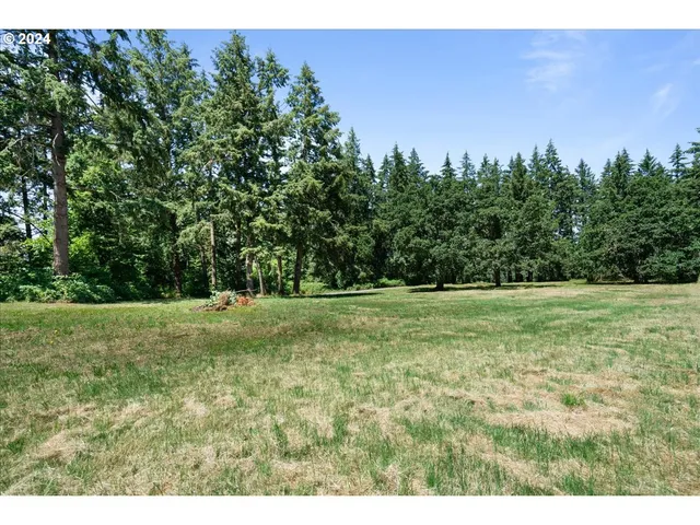 a view of outdoor space with deck and yard