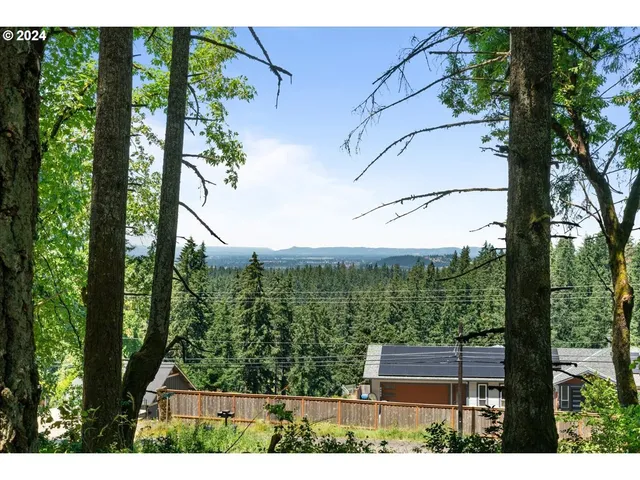 a view of outdoor space and yard