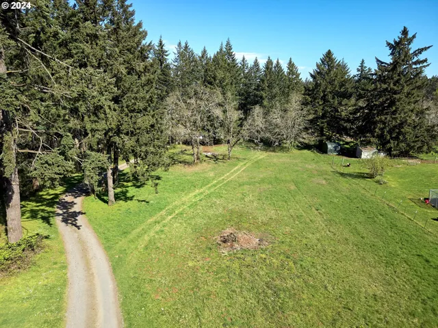 a view of a big yard with large trees